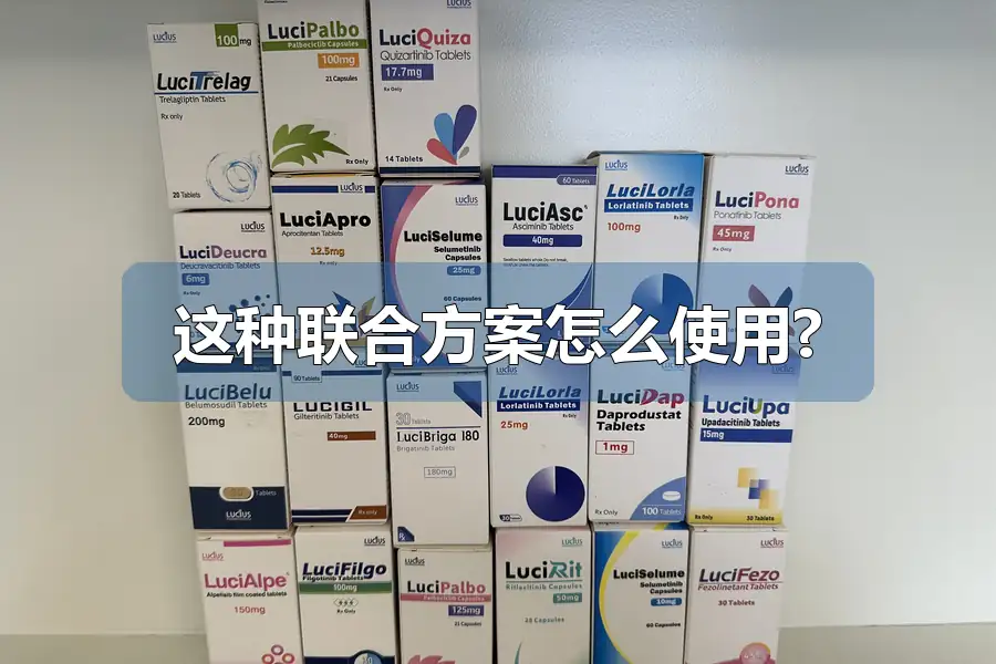 这种联合方案怎么使用?